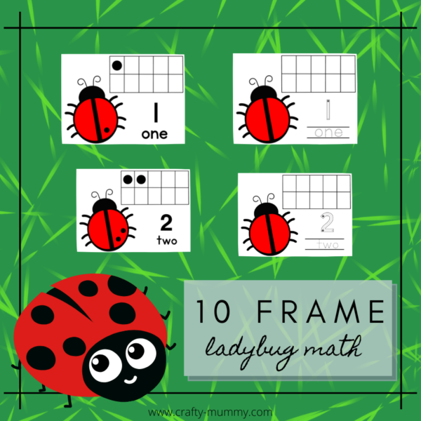Ladybug Math