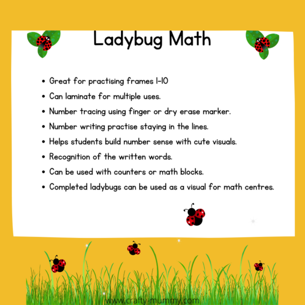 Ladybug Math - Image 2
